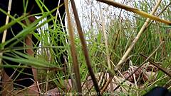 Anime hentai girl gets TIED UP and BOUND NAKED in wild bondage scene. Can't escape this trap.