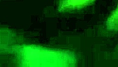 i love sucking dick and swallowing cum deepthroat style