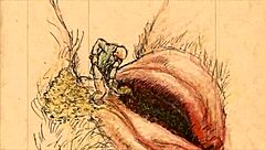 hey, take a look at these cool vintage erotic drawings