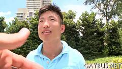 In this homosexual video, various sex scenes unfold between men in intimate settings