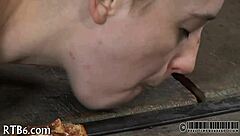 Ferocious Whipping Unleashes Raw Pain on This Stunning Hotty