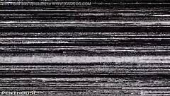 Penthouse Pet Kortney Kane and Ash Hollywood Dive into Sexy Lesbian Licking