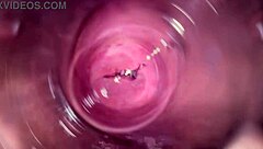 camera deep inside mias creamy pussy, oops, so wet!