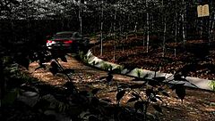 pine falls 90 in anime hentai style 😊