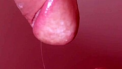 little latina slut sucks cock, cums in mouth during quick holiday fling. a steamy story to get you off fast!