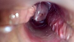 check this, orgasm captured inside vagina up close