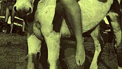 Dark Lantern Entertainment tells a tale of beauty and beast in retro style