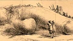 Vintage Erotic Illustration with Classic Charm