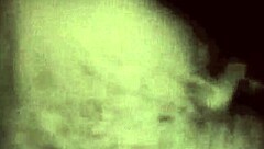 vintage erotic drawings bring retro charm in classic cartoon style.