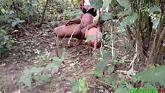 I lured him to bed for a taste of my fat ebony pussy