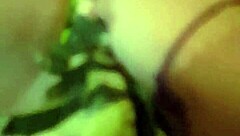 november 19, 2017 video captures a quiet evening moment