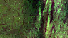 Opening my wet virgin pussy for a slow, teasing lick.