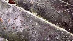 Hot Patricinha with Pink Pussy Craves Public Action Now!