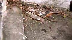 Hot Patricinha with Pink Pussy Craves Public Action Now!