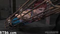 four beauties locked in petite cage for rough play.