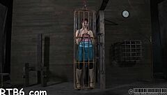 four beauties locked in petite cage for rough play.