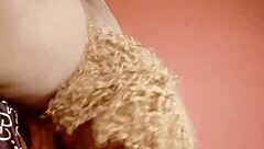 sundaydogood614 update 429 vid 20240826 215205 aug 26 2024