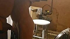 Want to see cock play and pussy licking?