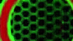 Hell Yeah! Moe Bangs Sexy Porsha Carrera So Hard!