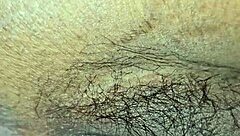 My Cute Girlfriend's Amusing Adventures