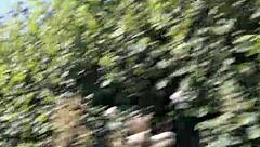 I Can't Resist Flashing My Tits in the Car as a Naughty Housewife!