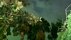 i arrapato esibizionista cerca una guardona sborrata pubblica nel parco e gemiti - sega in pubblico e passeggiata senza slip con il cazzo in mostra