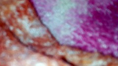 i'm filming my sister-in-law's sexy ass so hot