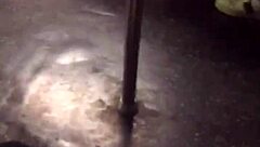 wow, spotted this girl with a big ass riding the train today 🚂