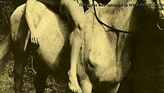 In a vintage retro setting, dark lantern entertainment presents a hairy pussy riding scene with natural tits and beaver on display.