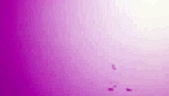 Let Me Suck It Deeply Now