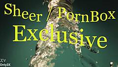 darcia lee, the cute hungarian hottie, gets fucked in various positions