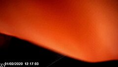 Homeless Woman Gives Intense Blowjob In The Car While Driving