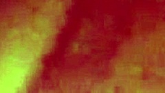 Ex Sucking It With Intense Passion And Desire.