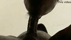 he came but i kept sucking that big cum load