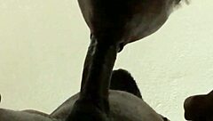 he came but i kept sucking that big cum load