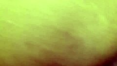 Roxy craves intense doggy style