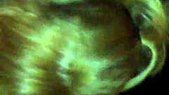 kimberlie blowing monster cock in close up