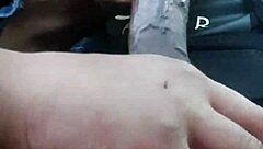 Is that wet head in the car making you excited?