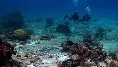 super shark sexy bikini girl on the boat with brunette