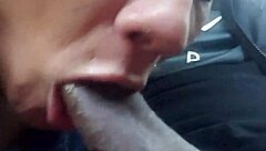 Is that wet head in the car making you excited?