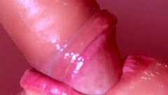 oh man this korean love story kicks off with a wild first lesson in close up blowjob action