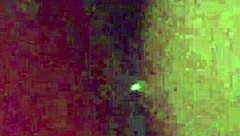 Daddy Dominating That Hairy Nut Bush With Dirty Talk And Bisexual Licks