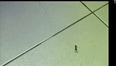 Giantess Towers Over Tiny Cock in Kinky Femdom POV