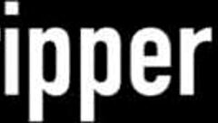 Mega MILF Julia Ann shines in this hot clip scene.