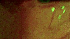 Jade, a spectacular brunette, stars in trailer 21 showcasing her features.