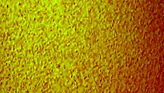 Discover the Contrast of a Mature Asian Prostitute in a Cheap Brothel