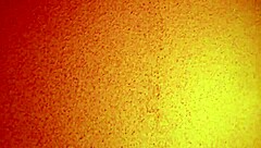 Discover the Contrast of a Mature Asian Prostitute in a Cheap Brothel