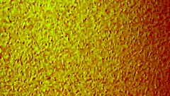 Discover the Contrast of a Mature Asian Prostitute in a Cheap Brothel