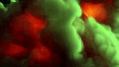 How Wild Is Halloween with Tantaly Sex Doll and Horny Friends?