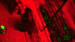 Imagine fucking Kali Ryder in that intense sex dungeon with WCA Productions